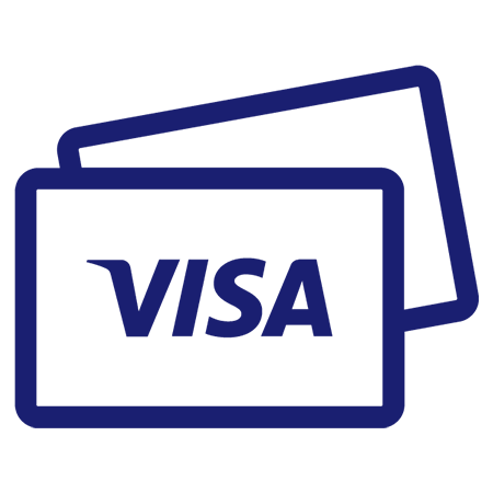 Visa card graphic