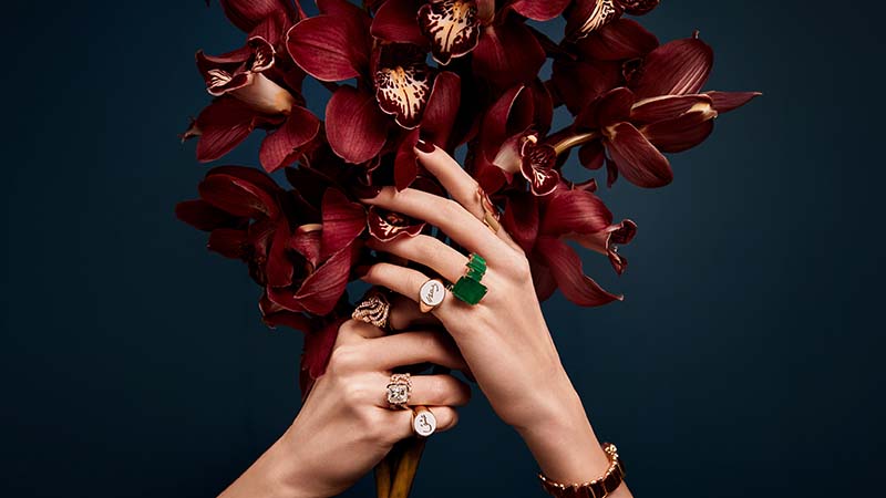 Hands with elegant rings and bracelet holding a bouquet of dark red orchids against a dark background